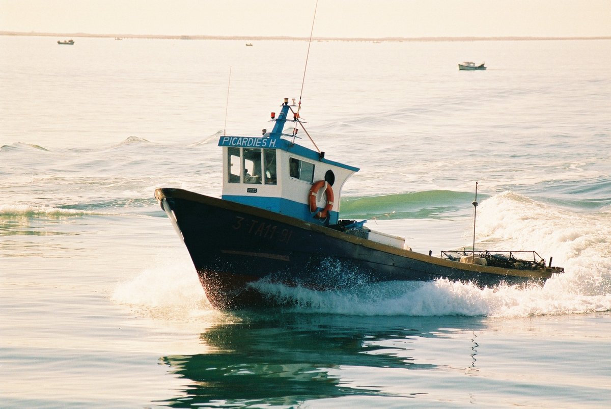 Imagen de Capitol 7 - 2000